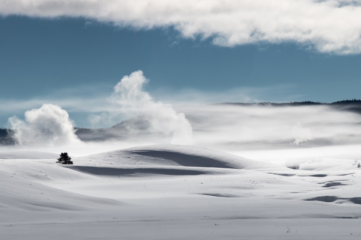 The Hayden Valley under snow, the river dark through the white.